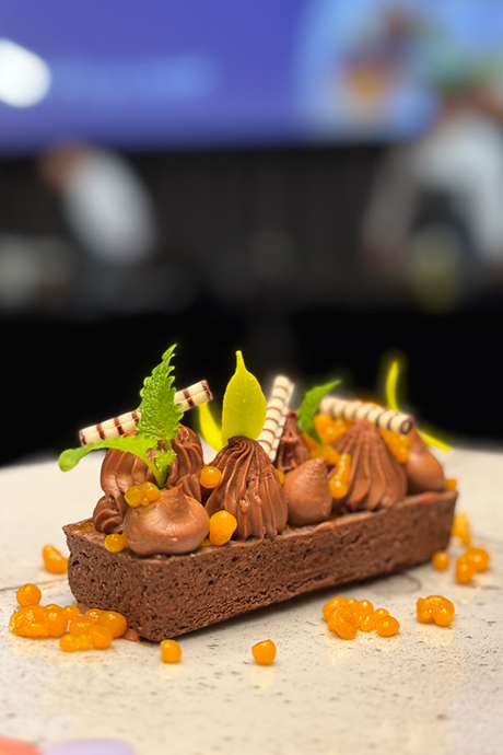 targi chefs krakow